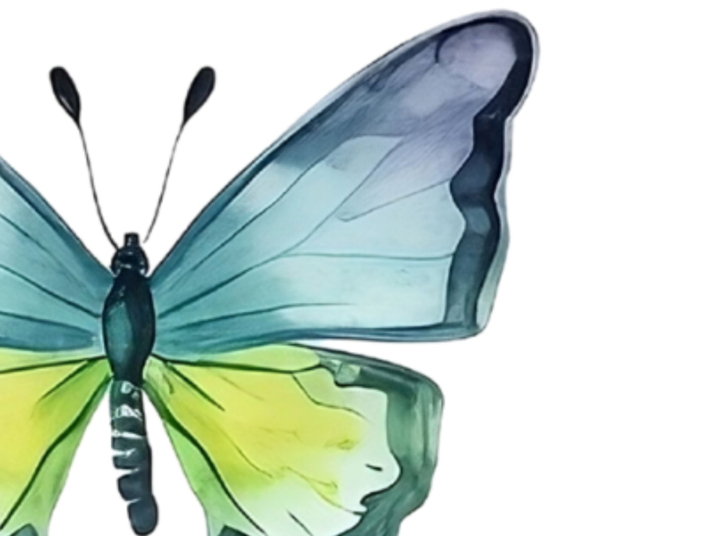 Watercolor Butterflies Cliparts Vol 2 | High-Quality PNG - Digital Artwork - Mama Life Printables