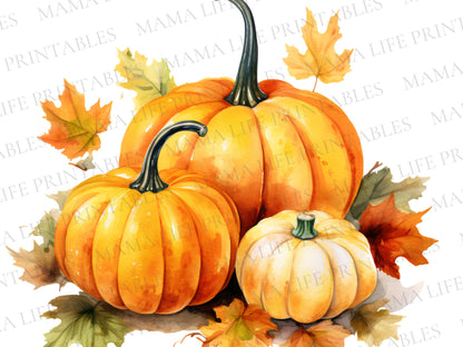Watercolor Pumpkins PNG Cliparts - Digital Artwork - Mama Life Printables