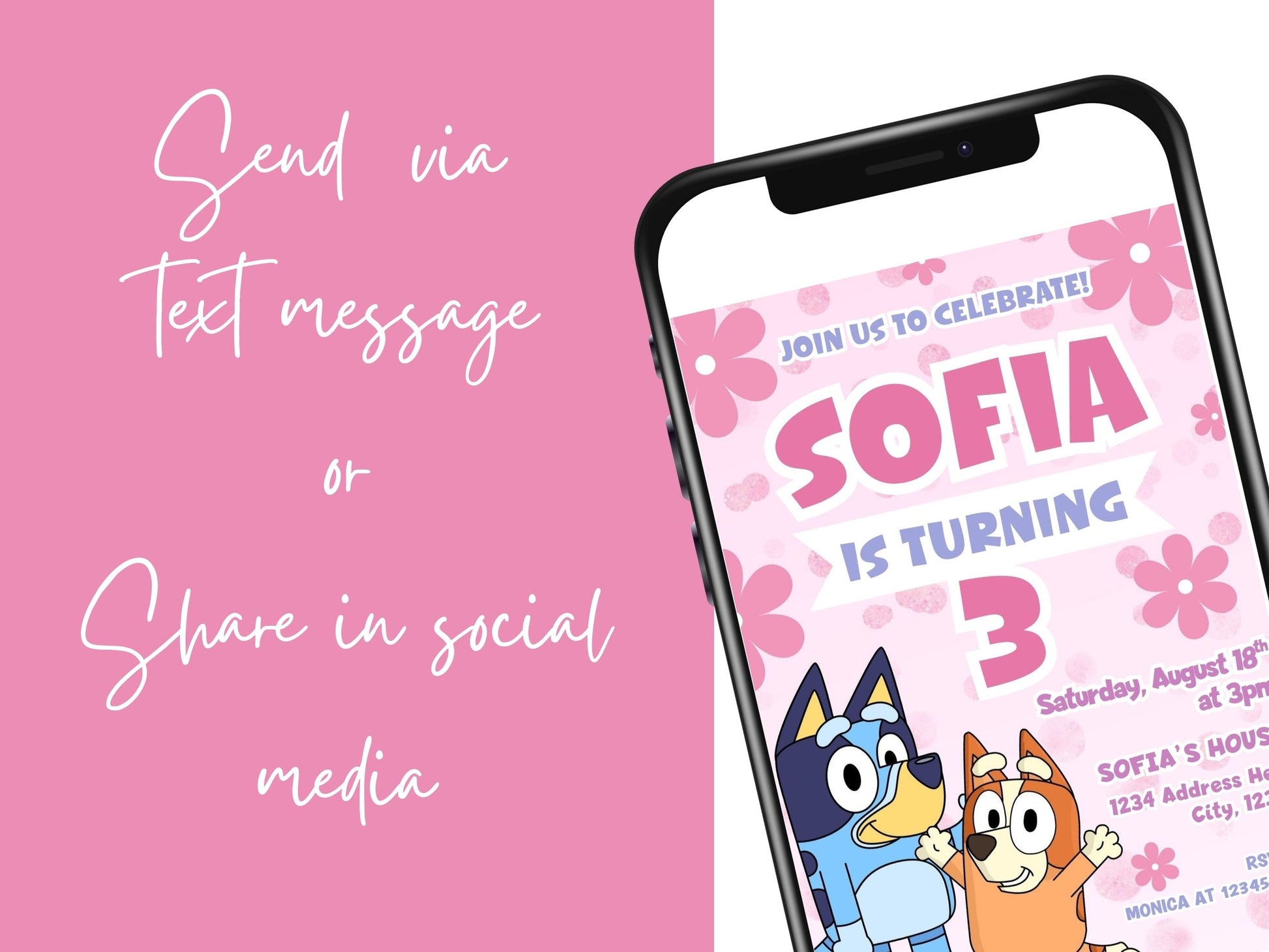 Bluey birthday party ideas