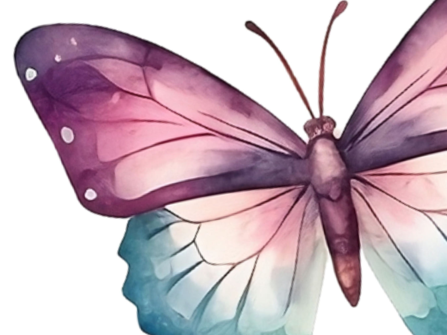 Watercolor Butterflies Cliparts Vol 2 | High-Quality PNG - Digital Artwork - Mama Life Printables